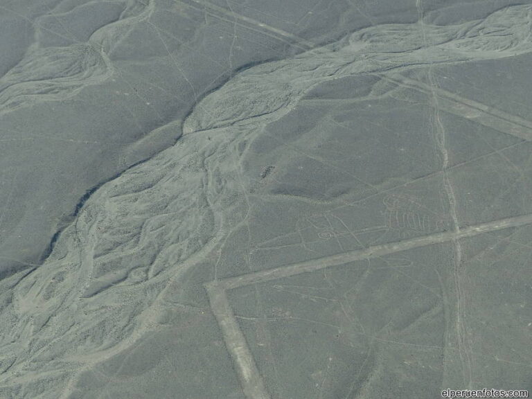 geoglifos de nazca 002